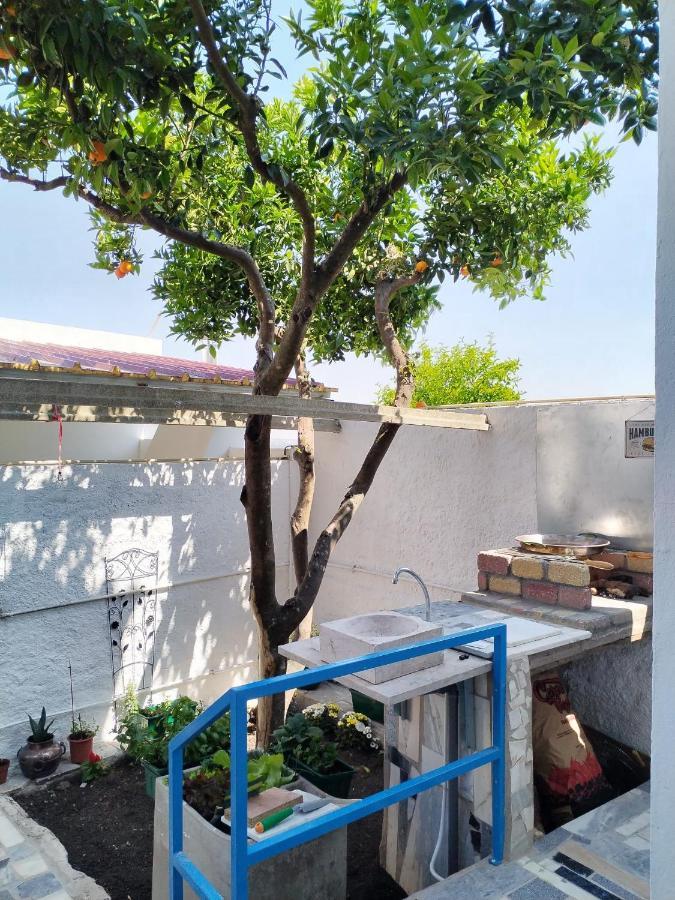 Casa Da Laranjeira Apartamento Montargil Exterior foto